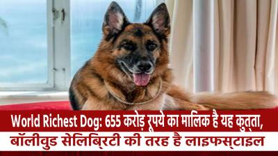 World Richest Dog: This dog owns Rs 655 crore, lifestyle like Bollywood celebrity