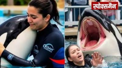Jessica Radcliffe Orca Dolphin Attack Video,Fact check News in hindi