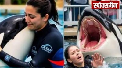 Who was Jessica Radcliffe? Know Orca Dolphin Attack Story news in hindi