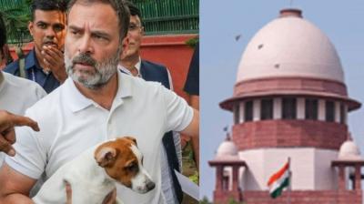 Rahul Gandhi's big statement on Supreme Court's order; 'Removing stray dogs is cruelty'
