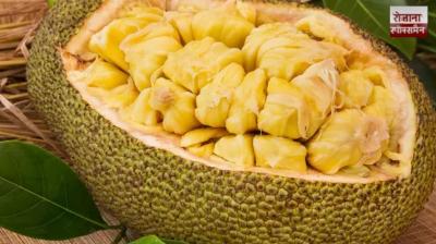 5 Amazing health benefits of eating Jackfruit