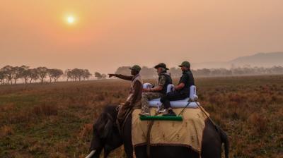 Prime Minister Narendra Modi reach Kaziranga National Park news in hinid 
