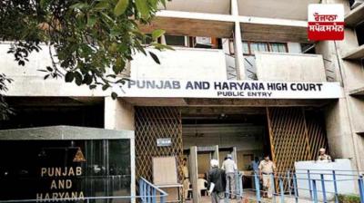 Punjab-Haryana High Court News in hindi
