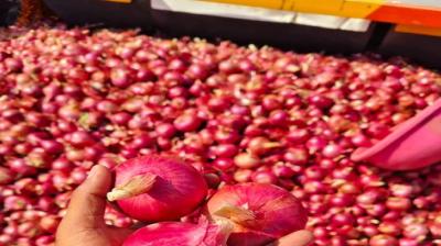 Central government withdraws 20% duty on onion export news in hindi